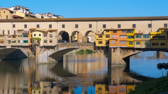 Rower training under ponte vecchio in florence. Early morning training session on the arno river with a rower passing under ponte vecchio in florence, with the reflection of the bridge on the water