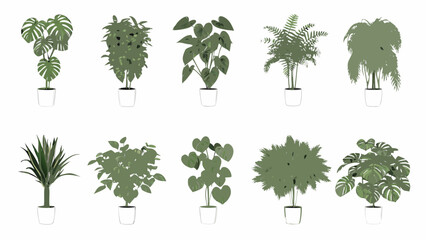 Variety of potted houseplants arranged in a grid on a white background © BasobiBala