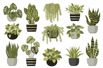 Collection of various potted houseplants in a colorful illustrative style © BasobiBala