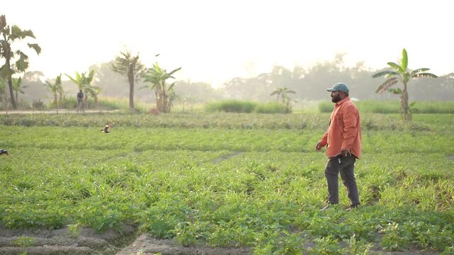 Man walking with smartphone, casual moment of a man walking while holding a smartphone, everyday lifestyle vibe, modern connection, natural light, candid feel, relatable and simple story