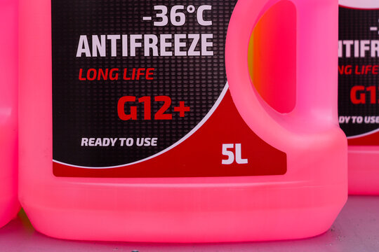 Pink antifreeze coolant container G12 plus long life ready to use -36C 5L automotive fluid close-up
