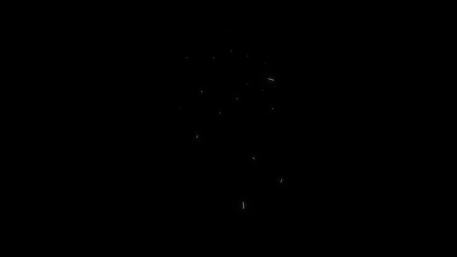 anatomical heart, heart animation, neon heart, white neon, glowing white, medical heart, cardiology, line art animation, glowing lines, medical illustration, healthcare, anatomy, science