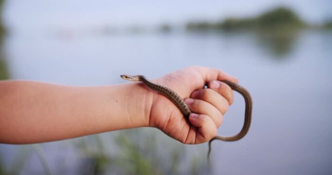 Child holding small snake near water