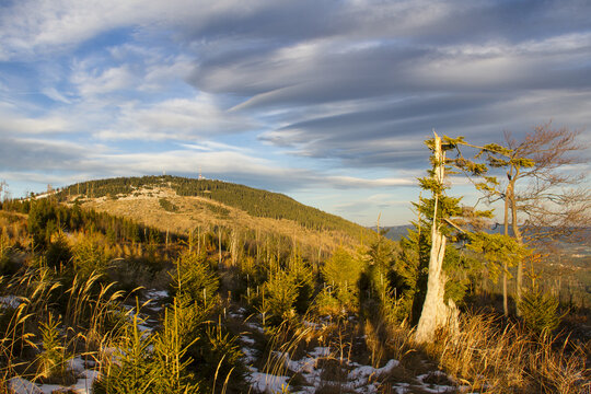 View of a sun-kissed mountain peak rising above a forest with a dusting of snow, under a wispy sky, Schockl, Styria, Austria.