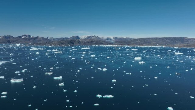 Drone shot of icebergs floating in a large fjord of East Greenland