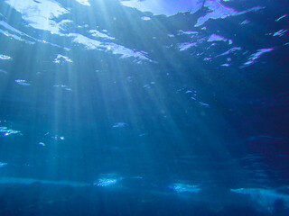 Ocean blue underwater with sunrays, Underwater Sea Deep Water Abstract Sunshine, sea wave , clean waters in summer time, Natural underwater seascape, sand on ocean floor and water surface sunlight. © Mediterranean sea