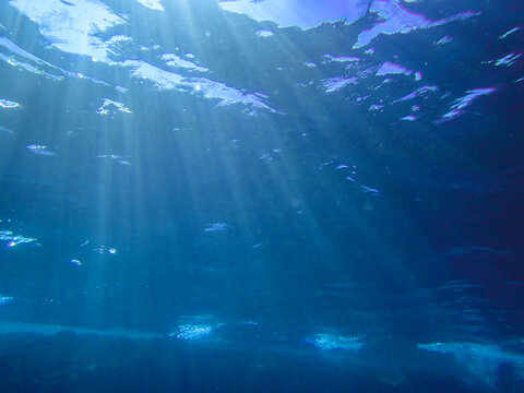 Ocean blue underwater with sunrays, Underwater Sea Deep Water Abstract Sunshine, sea wave , clean waters in summer time, Natural underwater seascape, sand on ocean floor and water surface sunlight.