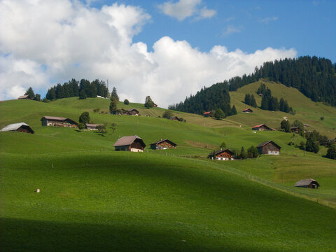 Paysage alpin typique de l'Oberland bernois avec chalets traditionnels et collines verdoyantes