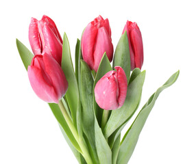 Obraz premium Bouquet of pink tulips isolated on white