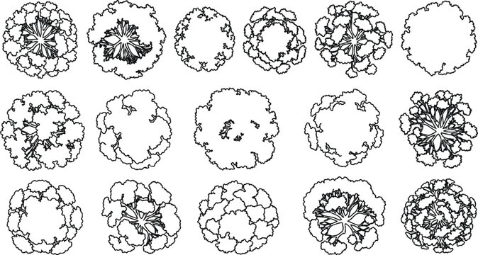Set of black and white vector tree icons for top down landscape architectural design plans