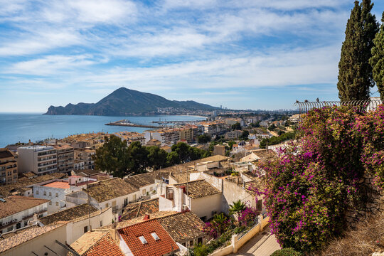 Panoramic view of Altea with blooming bougainvillea, coastline and mountains.