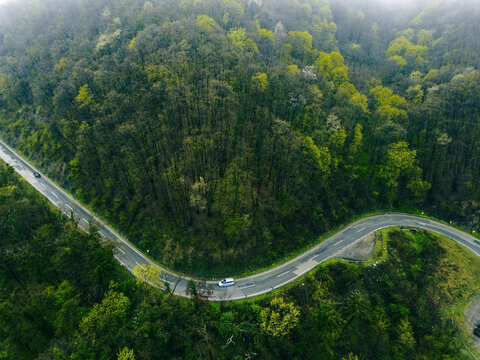 Aerial view of a winding road cutting through a dense forest of varied greens under a misty sky, Novi Sad, Vojvodina, Serbia.