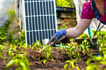 Person working in garden, cultivating plants for farming with green energy panel © Ivi - Powerlightss