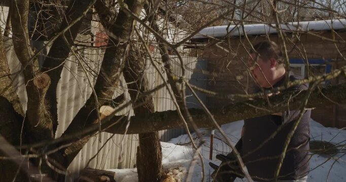 Strong man cutting dry branches of a fruit tree using a professional chainsaw in a snowy garden, performing seasonal maintenance and getting firewood for the cold winter season.