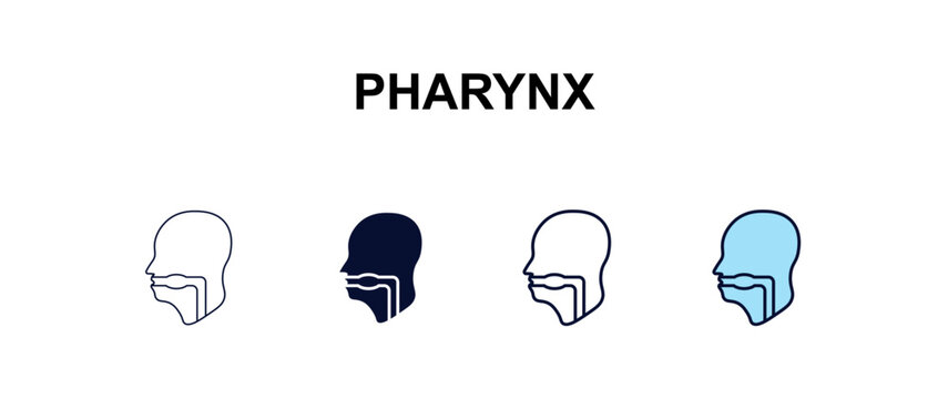 pharynx multi-style outline icon set - medical concept. Thin line, regular, filled, colored pharynx icon