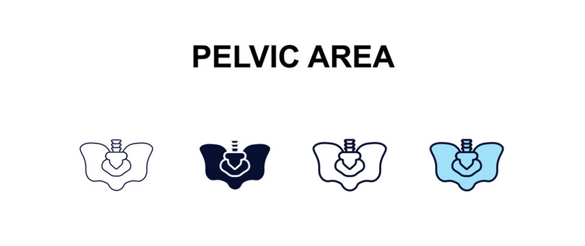 pelvic area multi-style outline icon set - medical concept. Thin line, regular, filled, colored pelvic area icon