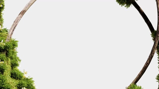 Slow panning moss and flower frame around white copy space