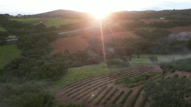 Cafezal em Minas Gerais Por do Sol Montanhas Cafes