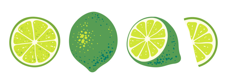 Lime halves and slices sett isolated on transparent background. Fresh citrus fruit. Ingredient for making lemonade. Hand drawn vibrant illustration in flat style