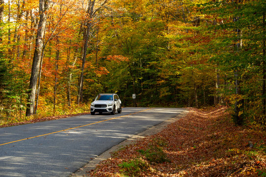 A white luxury SUV drives along a winding two-lane road through peak autumn foliage in Ontario, Canada, on a sunny fall day. Tall hardwood trees blazing with orange, red, and yellow fall colours line