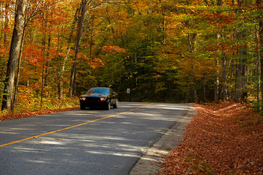 A black muscle car with distinctive round halo headlights drives along a straight two-lane road flanked by autumn forest in Ontario, Canada. The surrounding trees display a rich mix of orange, red,