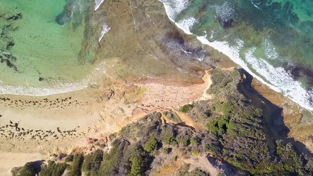 Lorne Anglesea Mountains Waves Surf Coast Great Ocean Road Beach View Top Down Green Clear Water 4K Victoria Australia