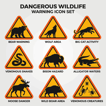 Collection of warning icons for dangerous wildlife encounters across diverse natural environments