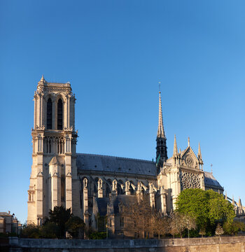 Notre-Dame Cathedral in Paris bathed in warm spring light with clear sky
