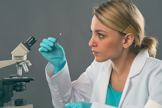 Woman holding microscope slide near compound microscope while examining sample