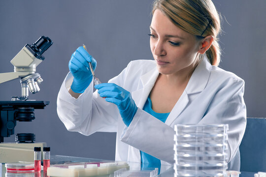 Young european female scientist pipetting with micropipette beside compound microscope in lab