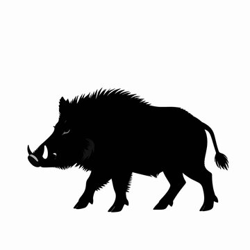 Minimalist black silhouette of a single wild boar walking, flat vector illustration of a feral pig with tusks isolated on white, powerful forest animal icon for nature and hunting concepts.