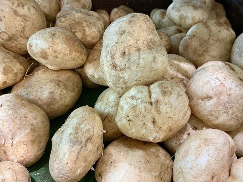 Pachyrhizus erosus, commonly known as&nbsp;jicama although the name most commonly refers to the plant's edible&nbsp;tuberous root.&nbsp;The flavor is sweet and starchy, reminiscent of some apples or raw green beans