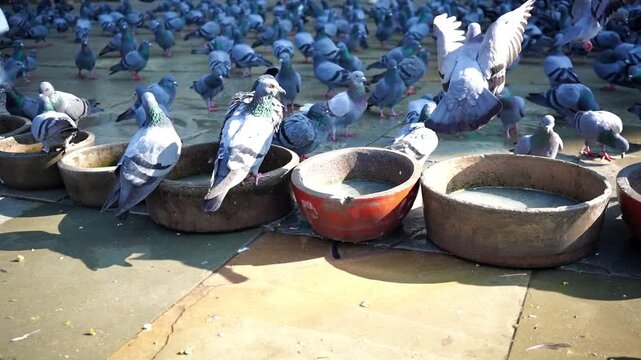 incense sticks in a buddhist temple