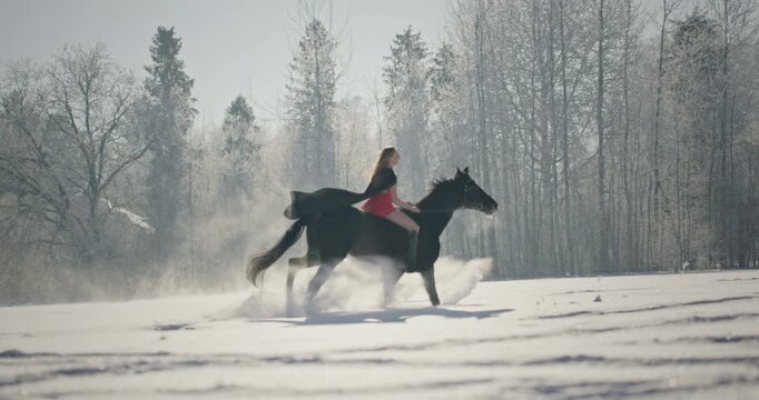 Beautiful woman in red dress riding horse in snowy forest