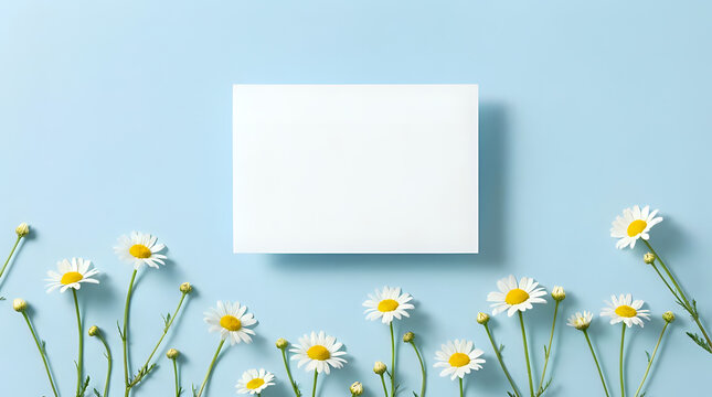 Fresh daisy flowers, delicate white chamomile blossoms on a pastel blue background. Blank white card for text, a serene spring floral border for invitations and greeting cards