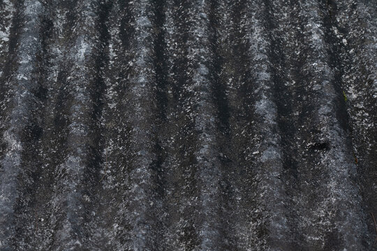 black and white roof texture
