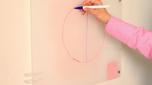 A female employee writes a pie chart with a marker on a whiteboard, showing the company's expense breakdown. Budget and Expense Planning