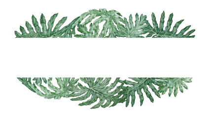 Tropical leaves text divider Philodendron Selloum watercolor botanical illustration. Hand drawn green foliage texture with copy space. Floral nature design for garden card decorative template. © NadyaSaen 