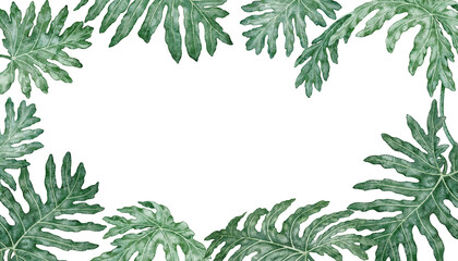 Tropical leaves rectangular frame Philodendron Selloum watercolor botanical illustration. Hand drawn green foliage texture with copy space. Floral nature design for garden card decorative template. © NadyaSaen 
