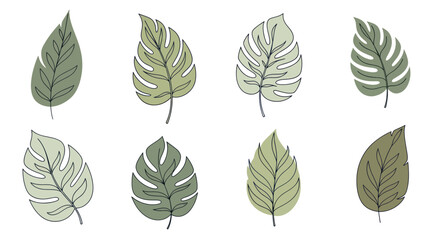 Collection of Hand Drawn Green Leaves with Detailed Veins. © Nabih