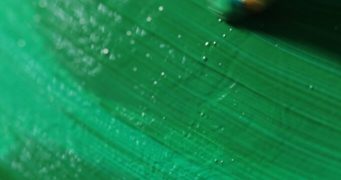 Woman painting strokes of green paint with brush, closeup