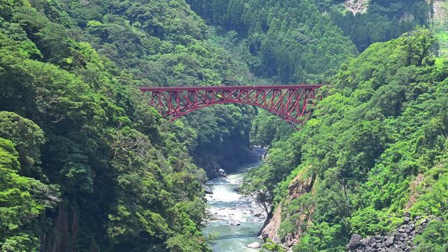 新緑の峡谷を跨ぐ美しい鉄橋風景
「吸い込まれるような新緑の峡谷と、赤褐色の鉄橋が織りなす絶景のコントラスト」
阿蘇郡南阿蘇村(第一白川橋梁)
A beautiful railway bridge spanning a lush green gorge