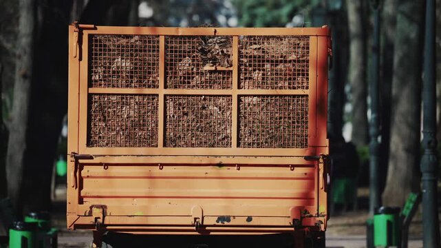 Rear view of a utility trailer filled with branches and organic material in a park