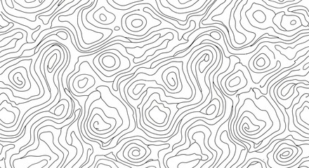 Fototapeta premium Abstract Topographic Contour Lines Pattern Black and White