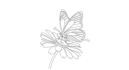 Obraz premium Delicate line art of a butterfly perched on a flower