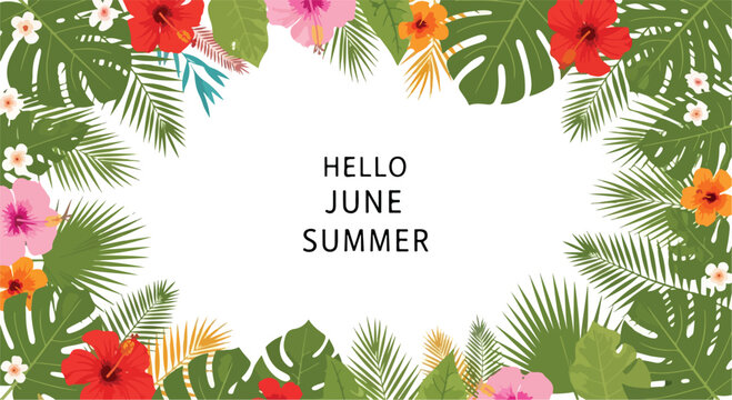 Vibrant floral border with tropical leaves and colorful flowers on a white background with 'HELLO JUNE SUMMER' text.