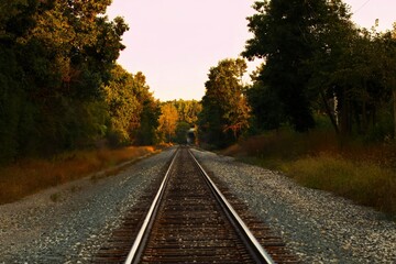 Obraz premium railway in the autumn