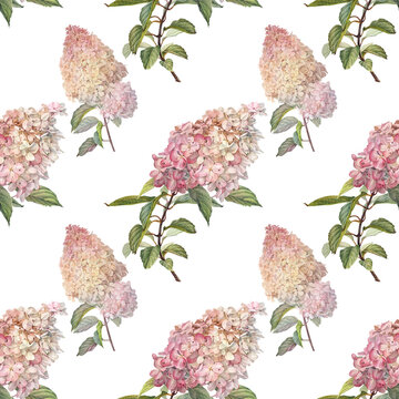 Watercolor seamless pattern with hydrangea and green leaves on white background. Hand-drawn pink botany flower for Women day 8 march. Bouquet for celebration wedding. Summer wallpaper or wrapping
