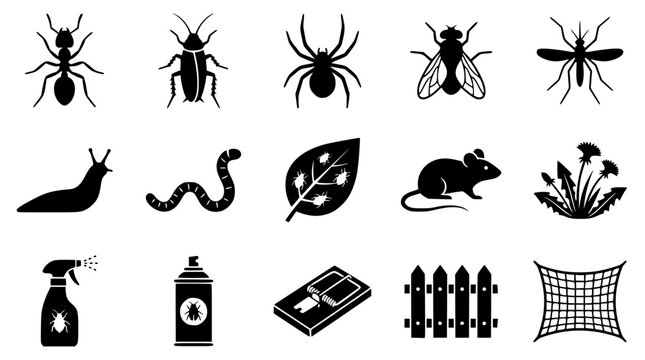 Vector graphic illustration of pest control icons and symbols