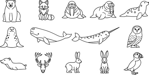Illustration Set of Arctic and Forest Animals Including Bear, Fox, Walrus, Narwhal, and Deer © Lcpl